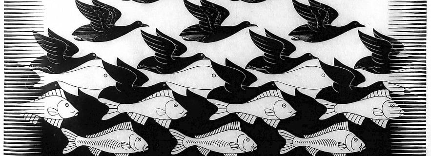 Escher Fish And Birds