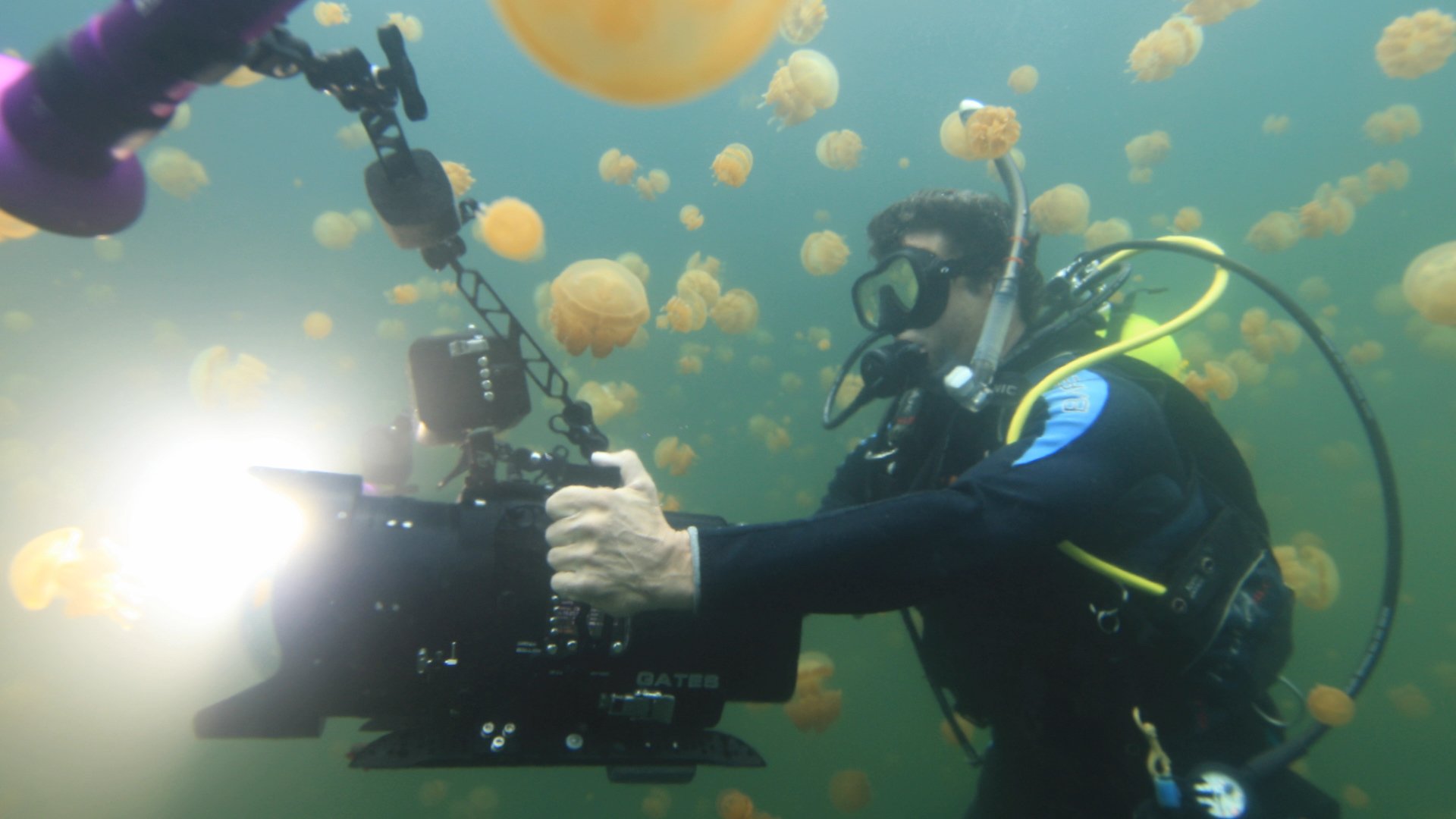 Underwater Cine Featured