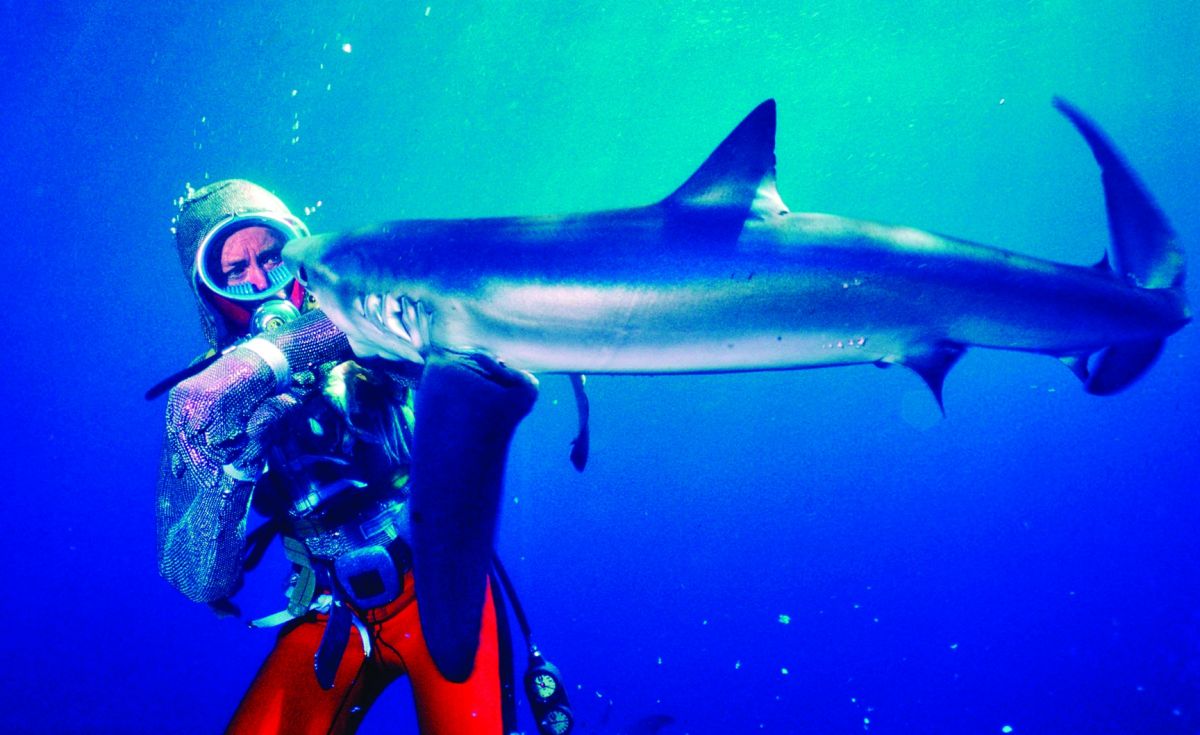 Taylor, wearing a chain-mail suit, is bitten on the arm by a shark in 1982.