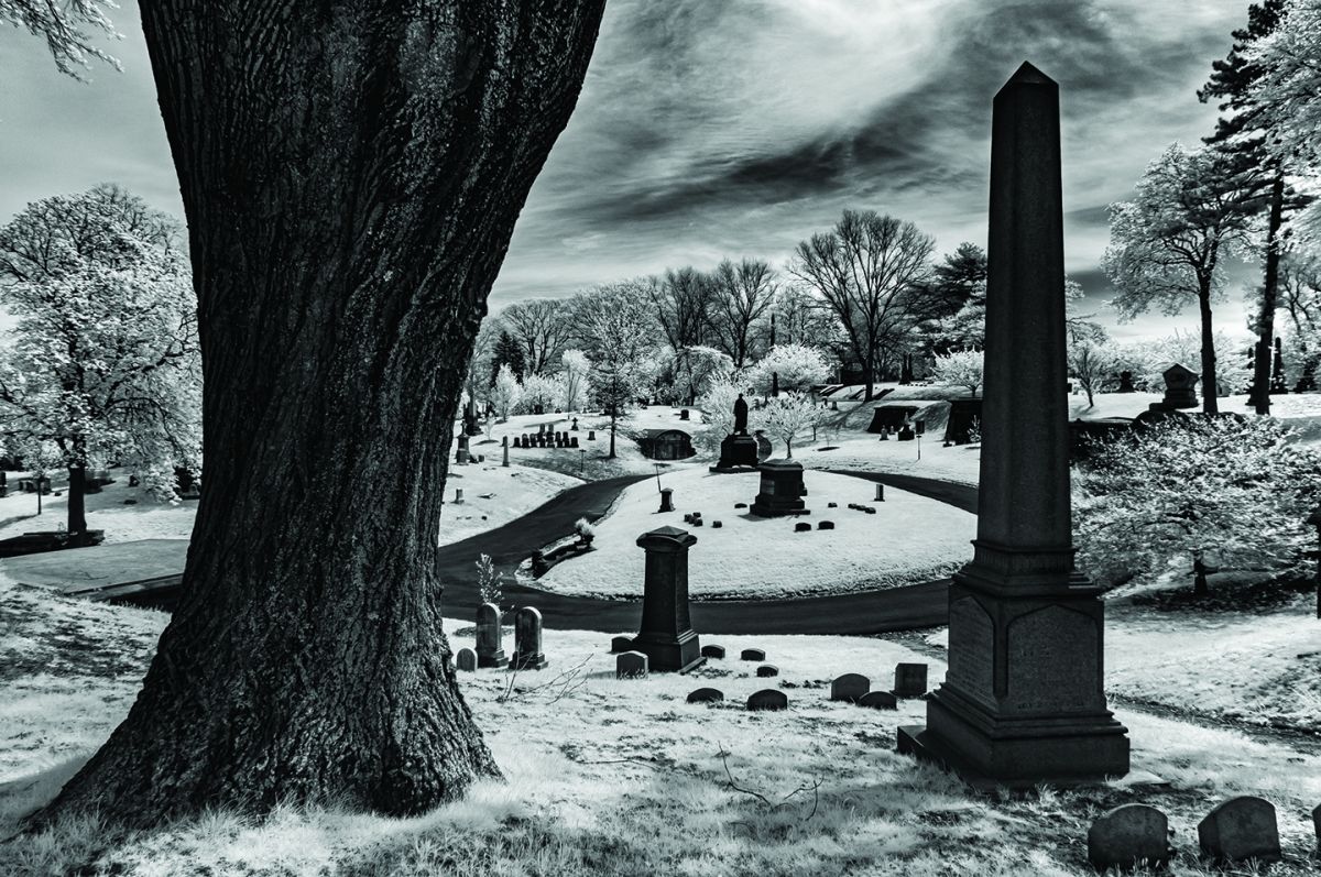 An infrared still of Brooklyn’s Green-Wood Cemetery, spring 2018.
